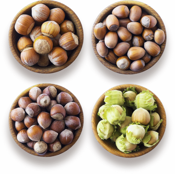 Hazelnuts All Types